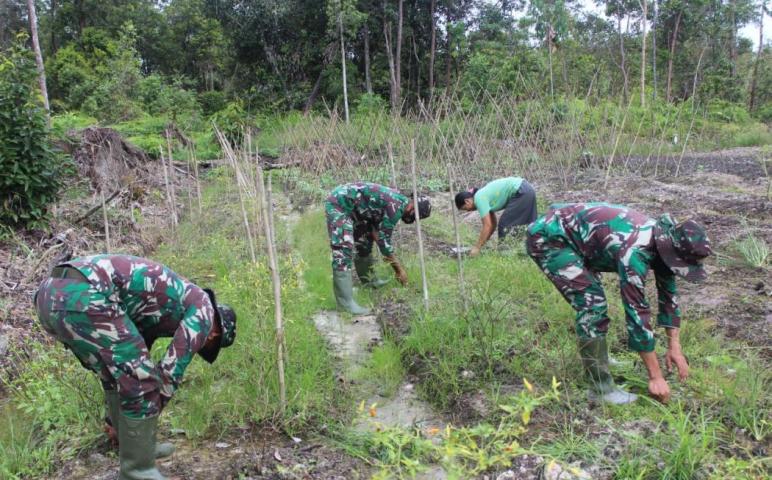 Personel TMMD Bantu Bersihkan Kebun Warga di Kampuri