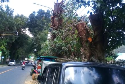Nasional