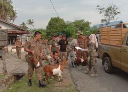 Daerah    
