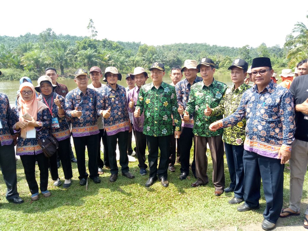 DAERAH 