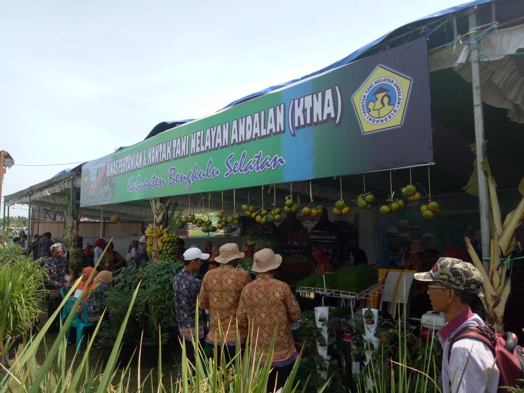 DAERAH