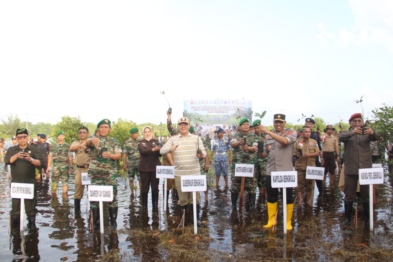 tanam Mangrove