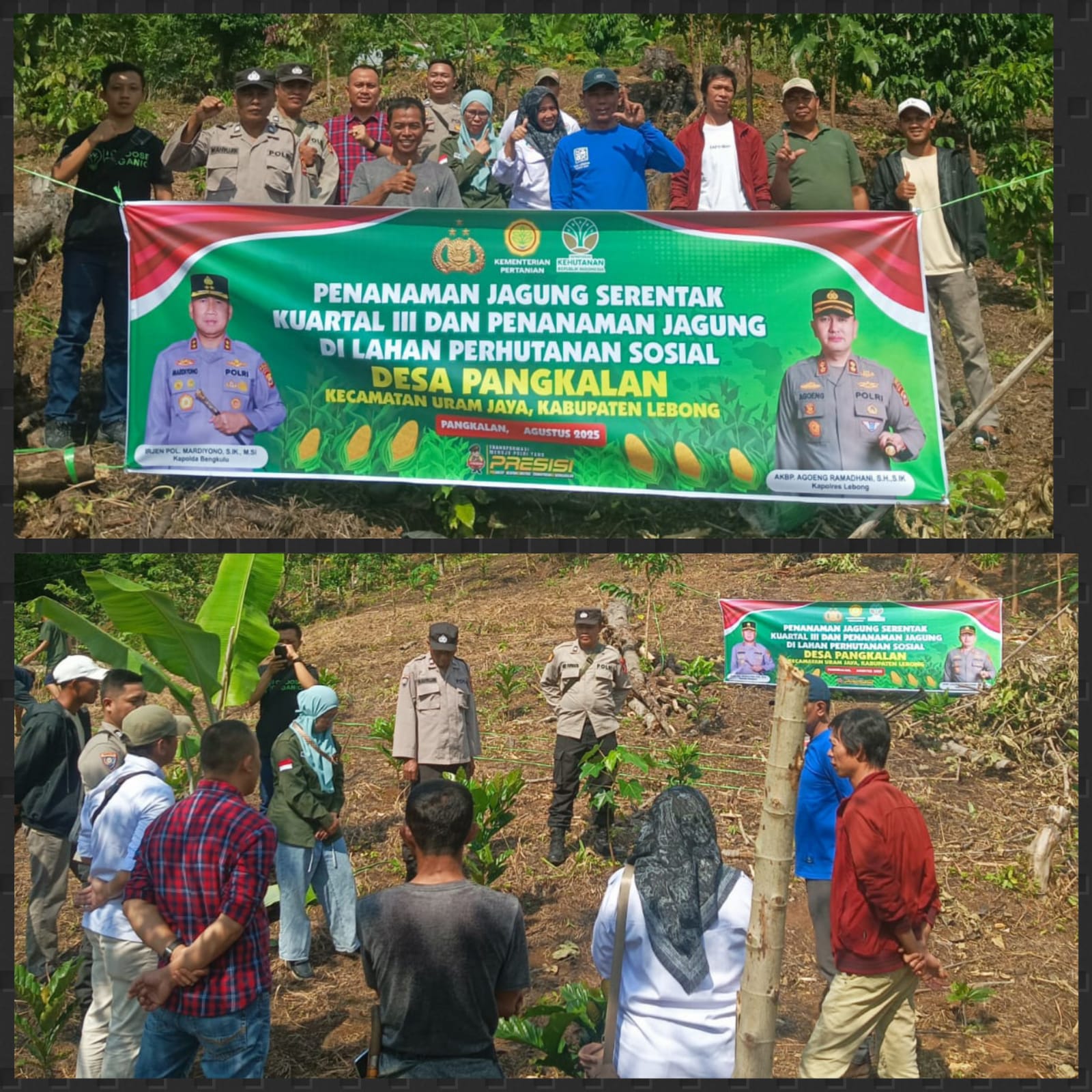 Tingkatkan Ketahanan Pangan, Pemdes Pangkalan Tanam Jagung 