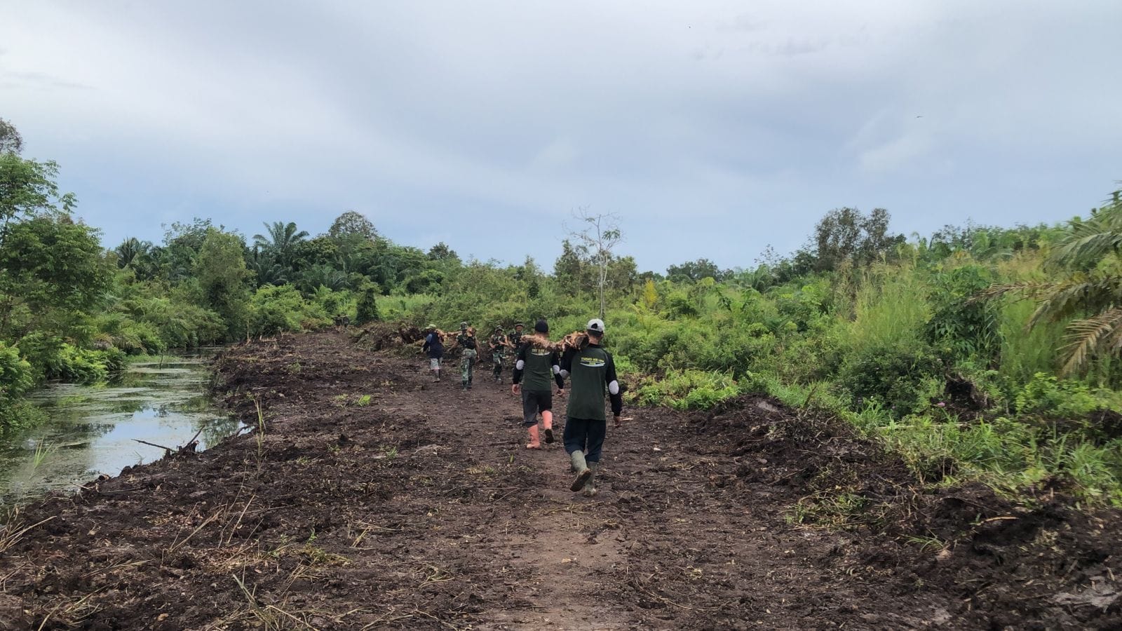 Kayu untuk kebutuhan Pembangunan jembatan