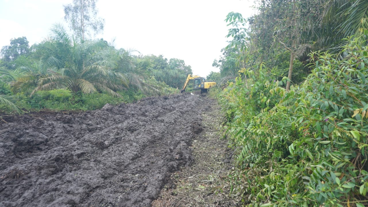 Proses pembukaan akses jalan menggunakan excavator