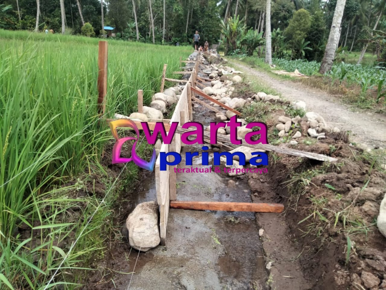 Foto: Pemerintah Desa Bongkudai meninjau proyek Irigasi yang di Bangun oleh BWS I Sulawesi Manado