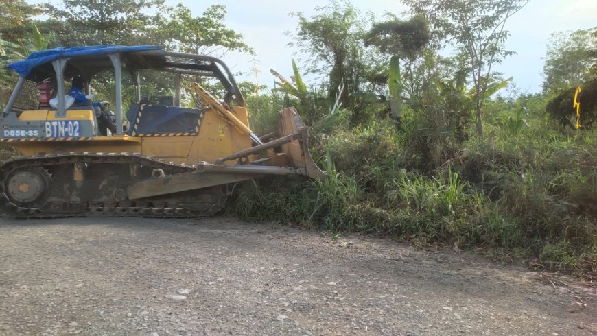 Bulldozer