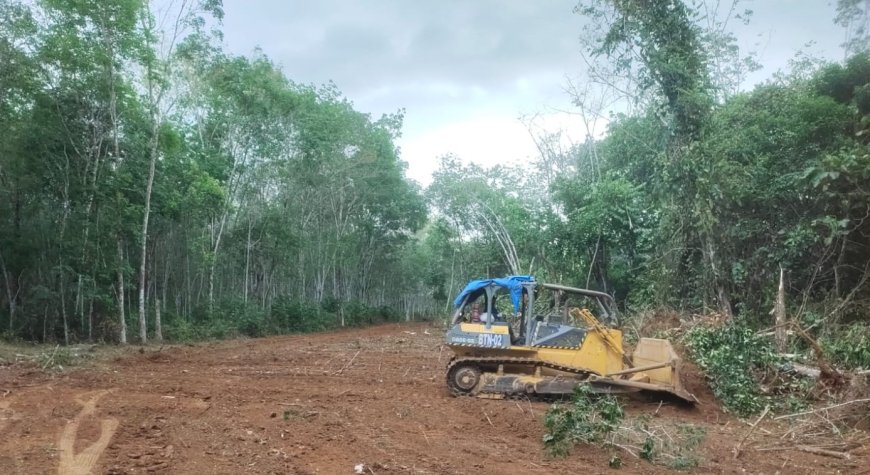 Bulldozer