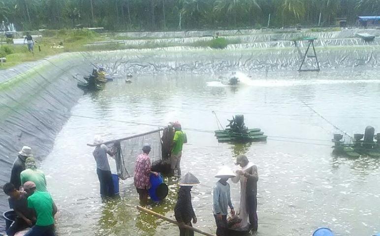 Daerah