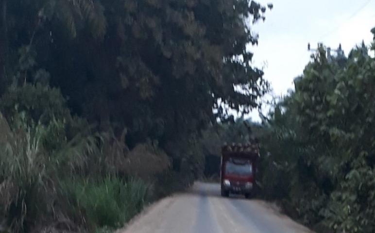 Pelayanan 