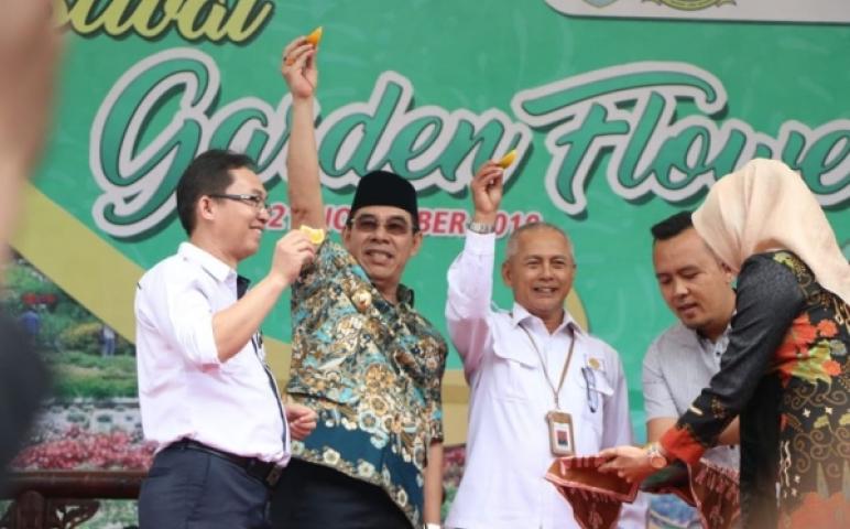 Daerah    