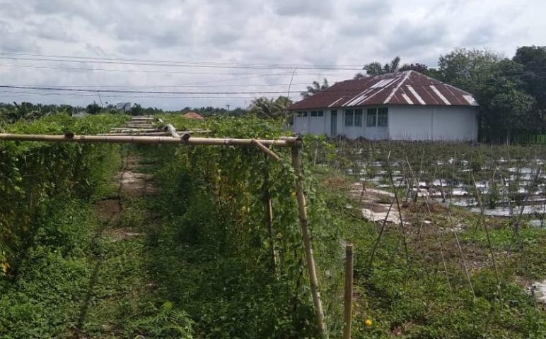 Daerah    