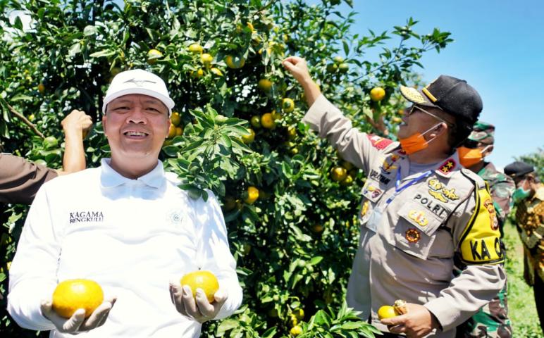 Pelayanan