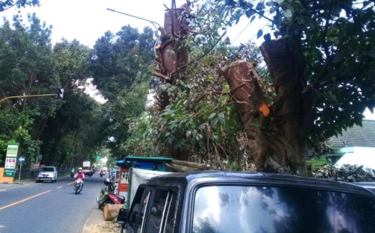 Nasional