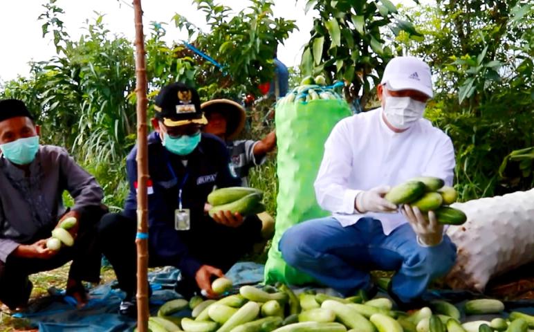 Pelayanan