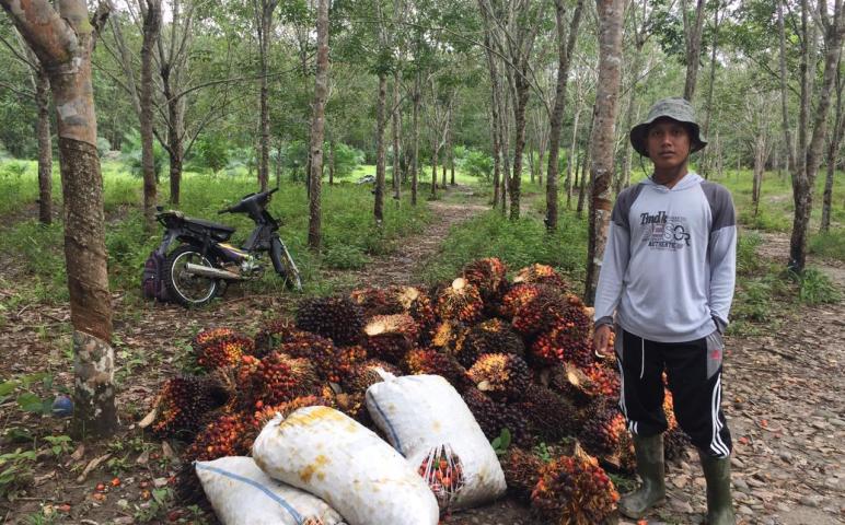 Ragam