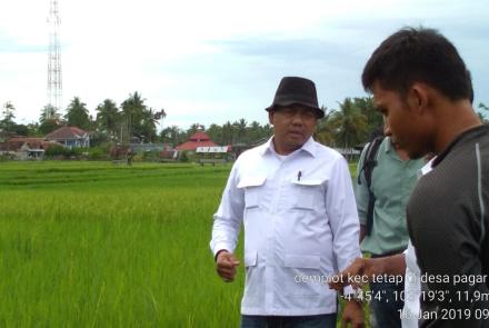 Daerah    