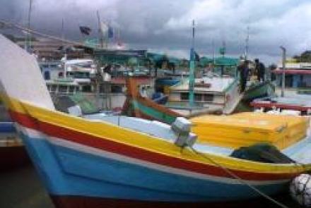 Bengkulu Selatan