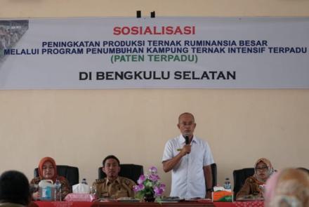 Daerah