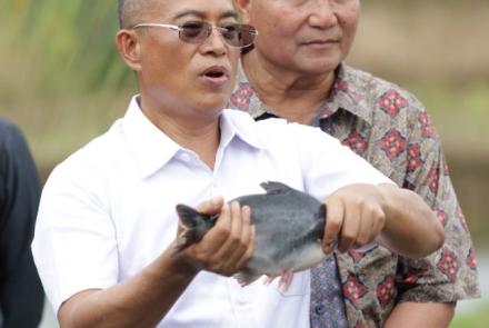 daerah