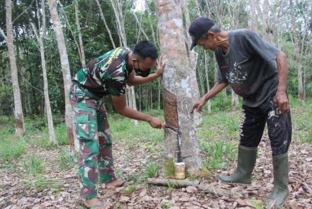 Personel TMMD Belajar Nyadap Karet di Desa Kampuri